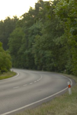 Canlı yeşil ağaçların arasına yerleşmiş dolambaçlı bir yolun manzarası, doğanın özünü ve sükunetini yakalamak için mükemmel..