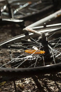 Üzerinde turuncu bir yaprak olan bisiklet tekerleğinin yakın çekimi, bir orman ortamında benekli güneş ışığıyla yakalanmış..