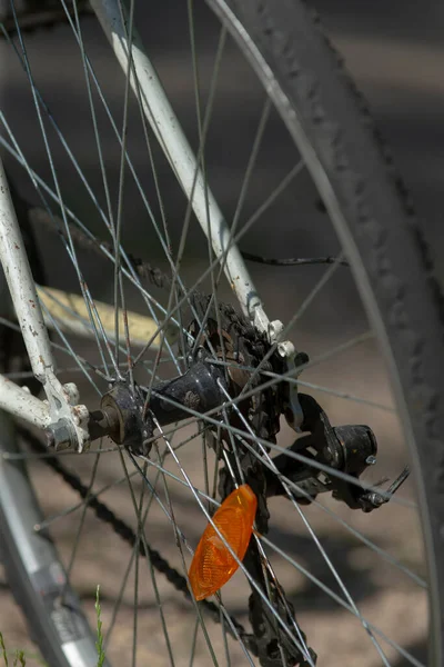 Çarkların, fren sisteminin ve zincirleme montajın yer aldığı bisiklet tekerleğinin ayrıntılı görünümü, bisiklet mekaniğinin gösterimi.