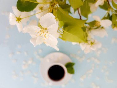 Çiçekli elma ağaçlarının arka planında bir fincan kahve..