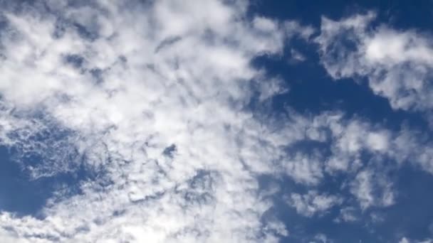 Cumuluswolken an einem klaren blauen Himmel. Zeitraffer 4k-Video. — Stockvideo
