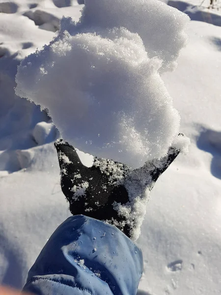 Una Chica Con Guantes Tiene Nieve Blanca Pura Mano Foto — Foto de Stock