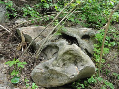 Ormanda ilginç şekilli büyük bir taş.