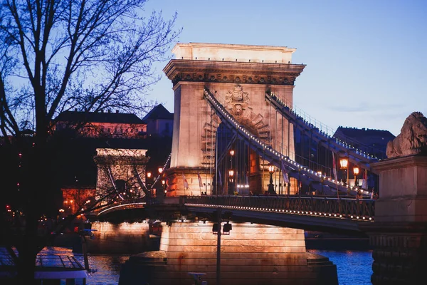 Nattvisning Berömda Budapest Szechenyi Kedjebron Hängbro Som Sträcker Sig Över — Stockfoto