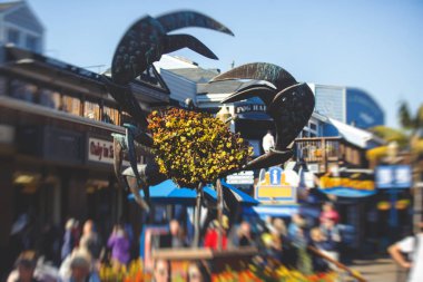 Tarihi San Francisco Fisherman's wharf, California, ABD, güneşli yaz da görünümünü