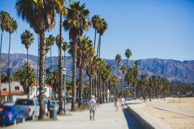 Santa Barbara okyanus açık yürüyüş, plaj ve marina, avuç içi ve dağlar, Santa Ynez dağlar ve Pasifik Okyanusu, Santa Barbara county, California, Amerika Birleşik Devletleri, güneşli yaz da güzel görünümü