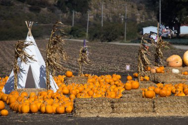 Pacific Coast Highway 1, California, Amerika Birleşik Devlet kabak piyasaya kabak bir grupla görünümünü
