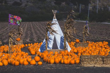Pacific Coast Highway 1, California, Amerika Birleşik Devlet kabak piyasaya kabak bir grupla görünümünü
