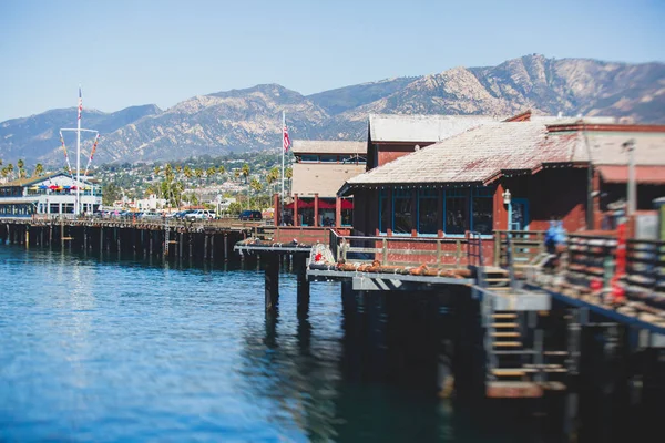 Santa Barbara Okyanus Açık Yürüyüş Plaj Marina Avuç Içi Dağlar — Stok fotoğraf