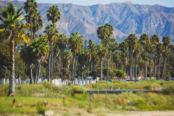 圣巴巴拉海滨漫步美丽的景色 海滩和码头 棕榈树和山脉 圣伊内斯山和太平洋 圣巴巴拉县 加利福尼亚州 夏季阳光明媚的达 — 图库照片