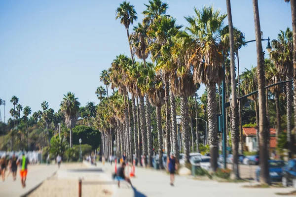 Santa Barbara Okyanus Açık Yürüyüş Plaj Marina Avuç Içi Dağlar — Stok fotoğraf