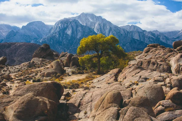 阿拉巴马州山的看法 著名的拍摄地点岩层附近的内华达山脉东坡 欧文斯谷 西部的孤松在英约县 英约国家森林 加利福尼亚州 — 图库照片