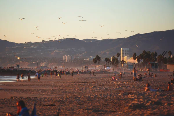 Вид Захід Сонця Тихого Океану Венеція Округу Лос Анджелес Каліфорнія — стокове фото