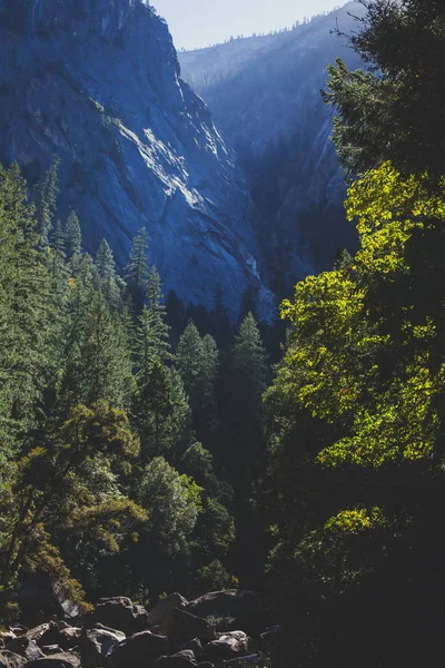 Sis Trail Yosemite Milli Parkı Sierra Nevada California Amerika Birleşik — Stok fotoğraf