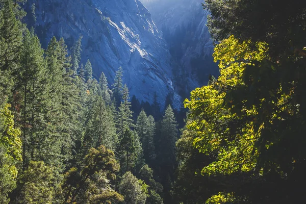 Vista Del Sendero Niebla Del Parque Nacional Yosemite Sierra Nevada — Foto de Stock