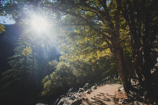 View Mist Trail Yosemite National Park Sierra Nevada California United — Stock Photo, Image