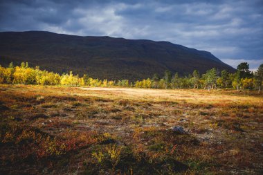 Abisko Milli Parkı, Kiruna Belediyesi, Laponya, Norrbotten İlçesi, İsveç, Abiskojokk Nehri, karayolu ve Nuolja Dağı 'nın sonbahar manzarası Finlandiya, İsveç ve Norwa sınırına yakındır.