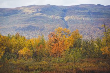 Abisko Milli Parkı, Kiruna Belediyesi, Laponya, Norrbotten İlçesi, İsveç, Abiskojokk Nehri, karayolu ve Nuolja Dağı 'nın sonbahar manzarası Finlandiya, İsveç ve Norwa sınırına yakındır.