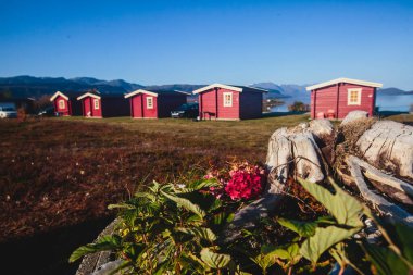 Geleneksel ahşap kırmızı kulübeleriyle klasik Norveç kamp alanı manzarası, Kuzey Norwa