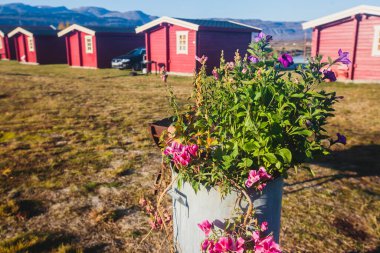 Geleneksel ahşap kırmızı kulübeleriyle klasik Norveç kamp alanı manzarası, Kuzey Norwa