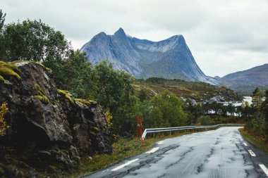 Efjorden fiyortu, Ballangen belediyesi, Nordland ilçesi, Ofoten ilçesi, Norveç 'in Efjord Köprüsü, Stortinden dağı, Kuzey Norwa' nın klasik soğuk panoramik manzarası