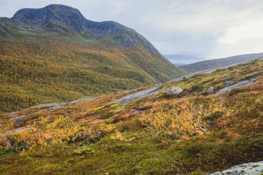Norveç 'in Fortopp Tepesi' ne yürüyüşü sırasında Stetind, Kuzey Norveç, Nordland, Tysfjord, Ofoten belediyesi, fiyort ve lak manzaralı dağ manzarası