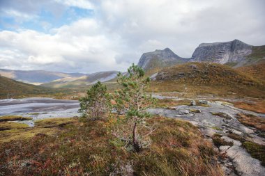 Norveç 'in Fortopp Tepesi' ne yürüyüşü sırasında Stetind, Kuzey Norveç, Nordland, Tysfjord, Ofoten belediyesi, fiyort ve lak manzaralı dağ manzarası