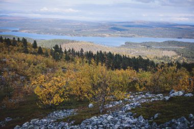 İsveç sonbaharı Norrbotten ilçesi, Kiruna Belediyesi, Kuzey İsveççe 'deki Kurravaara dağına yapılan yürüyüş sırasında canlı bir sonbahar manzarası sergiliyor.