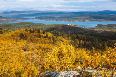 İsveç sonbaharı Norrbotten ilçesi, Kiruna Belediyesi, Kuzey İsveççe 'deki Kurravaara dağına yapılan yürüyüş sırasında canlı bir sonbahar manzarası sergiliyor.