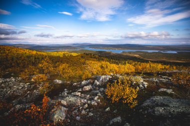 İsveç sonbaharı Norrbotten ilçesi, Kiruna Belediyesi, Kuzey İsveççe 'deki Kurravaara dağına yapılan yürüyüş sırasında canlı bir sonbahar manzarası sergiliyor.