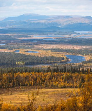 İsveç sonbaharı Norrbotten ilçesi, Kiruna Belediyesi, Kuzey İsveççe 'deki Kurravaara dağına yapılan yürüyüş sırasında canlı bir sonbahar manzarası sergiliyor.