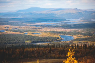 İsveç sonbaharı Norrbotten ilçesi, Kiruna Belediyesi, Kuzey İsveççe 'deki Kurravaara dağına yapılan yürüyüş sırasında canlı bir sonbahar manzarası sergiliyor.