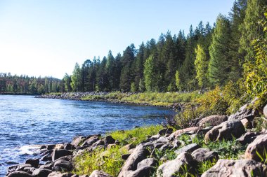 Kalix nehri, Kalixalven, Overkalix yerleşim yeri ve İsveç 'in Norrbotten ilçesinde güneşli yaz günlerinde ormanlık alan, hava aracı manzarası