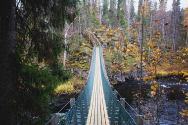 Oulanka Ulusal Parkı 'nın sonbahar manzarası, yürüyüş sırasında Kuzey Ostrobothnia ve Laponya' nın Finlan bölgelerinde bir finnish milli parkı.