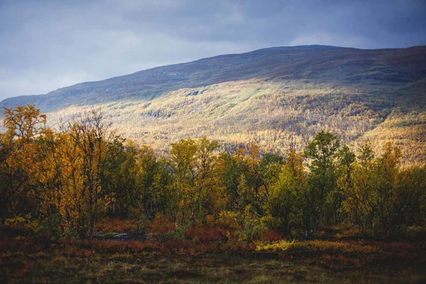 가을이 가을에 보이는 비스코 스웨덴 라플란드 노르보텐군 핀란드 스웨덴 근처에 — 스톡 사진