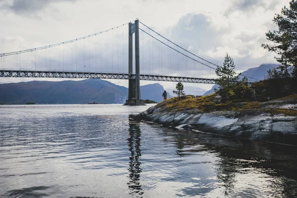 Klasická Norská Studená Panoramatická Krajina Efjorden Fjord Obec Ballangen Nordland — Stock fotografie