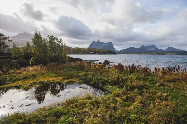 Paisagem Panorâmica Clássica Norueguesa Fria Fiorde Efjorden Município Ballangen Condado — Fotografia de Stock