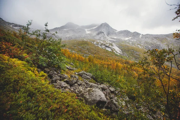 Paisaje Montañoso Noruego Durante Senderismo Hasta Pico Halls Fortopp Con —  Fotos de Stock