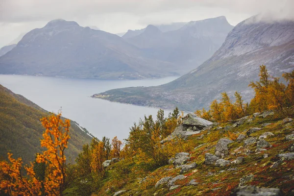Norweski Krajobraz Górski Podczas Wędrówki Halls Fortopp Szczyt Widokiem Stetind — Zdjęcie stockowe