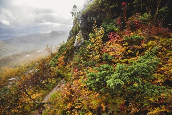 Paisagem Montanhosa Norueguesa Durante Caminhadas Para Halls Fortopp Pico Com — Fotografia de Stock