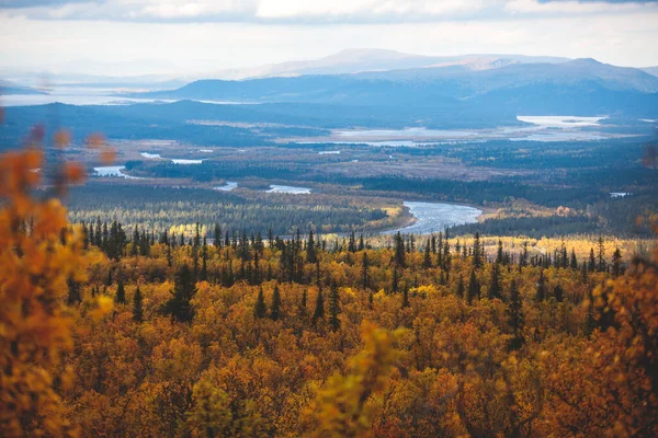 Outono Sueco Queda Paisagem Vibrante Durante Caminhadas Para Montanha Kurravaara — Fotografia de Stock