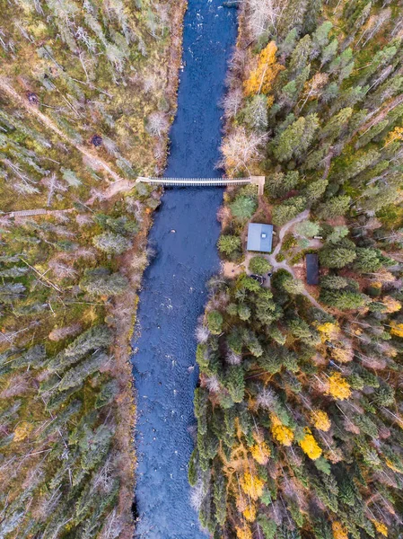 Oulanka Ulusal Parkı Nın Sonbahar Manzarası Yürüyüş Sırasında Kuzey Ostrobothnia — Stok fotoğraf