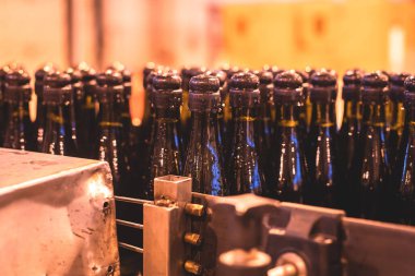 Taşıma bandındaki cam şişelerin görüntüsü, üretim hattındaki şişe boyunları, bira fabrikası ekipmanları, şarap fabrikasının içi, alkol üretimi süreci...