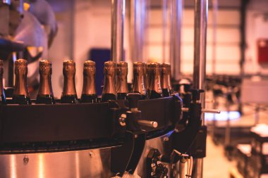 Taşıma bandındaki cam şişelerin görüntüsü, üretim hattındaki şişe boyunları, bira fabrikası ekipmanları, şarap fabrikasının içi, alkol üretimi süreci...