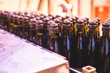 Taşıma bandındaki cam şişelerin görüntüsü, üretim hattındaki şişe boyunları, bira fabrikası ekipmanları, şarap fabrikasının içi, alkol üretimi süreci...