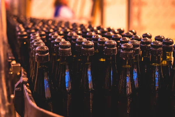 View of glass bottles on the conveyor belt, bottle necks on the production line, brewery equipment, inside wine factory, process of alcohol liquor manufacture production