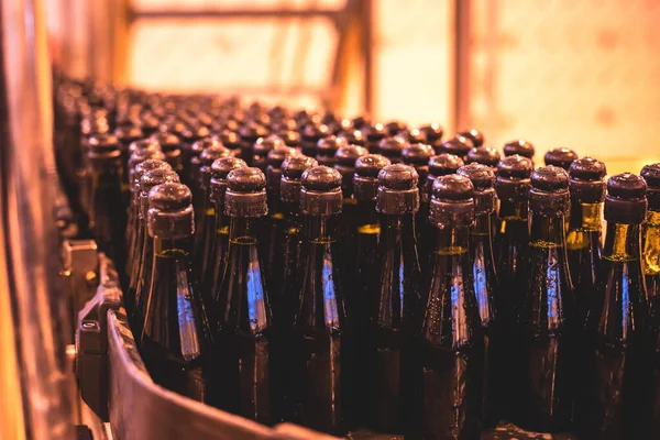 View of glass bottles on the conveyor belt, bottle necks on the production line, brewery equipment, inside wine factory, process of alcohol liquor manufacture production