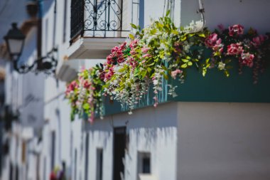 Güzel yaz güneşli Altea kasabası, Altea, Marina Baixa, Alicante ili, Akdeniz kıyısı, Costa Blanca, Valencia Topluluğu