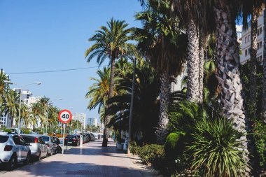 Calpe şehrinin yaz manzarası, Calp, liman ve sahil ve Penon de Ifach dağı, Marina Alta, Alicante ili, Valencia Topluluğu, İspanya