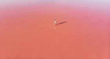 Güzel, geniş hava manzaralı, Torrevieja Pembe Gölü, Alicante, Spai, Kosta Blanca, Torrevieja 'da pembe tuz gölü.